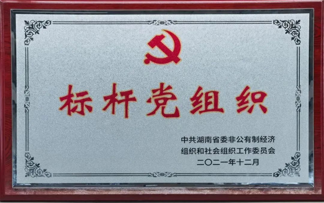 黨建品牌亮起來(lái)！山河智能黨委獲評(píng)“標(biāo)桿黨組織”