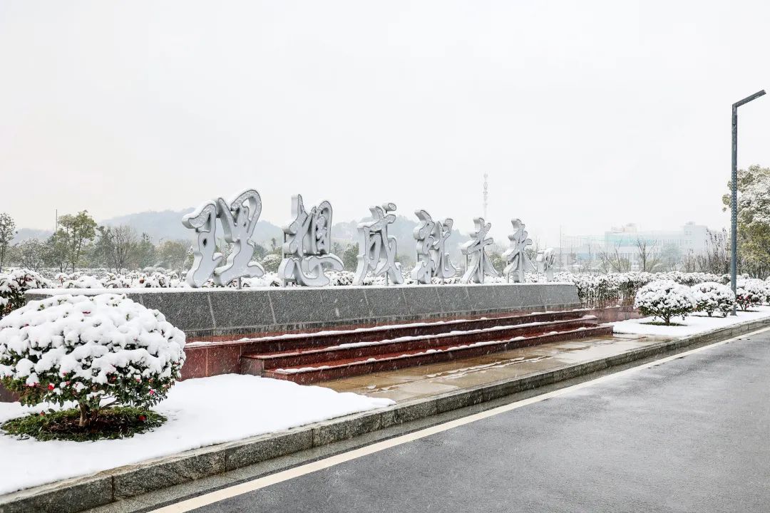 瑞雪兆豐年，邀您共賞雪中山河！